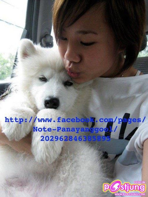 นท ไม่เสียใจ ชวดแชมป์The Star7