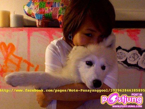 นท ไม่เสียใจ ชวดแชมป์The Star7