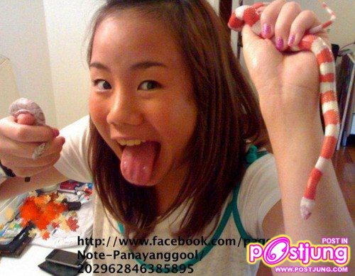 นท ไม่เสียใจ ชวดแชมป์The Star7