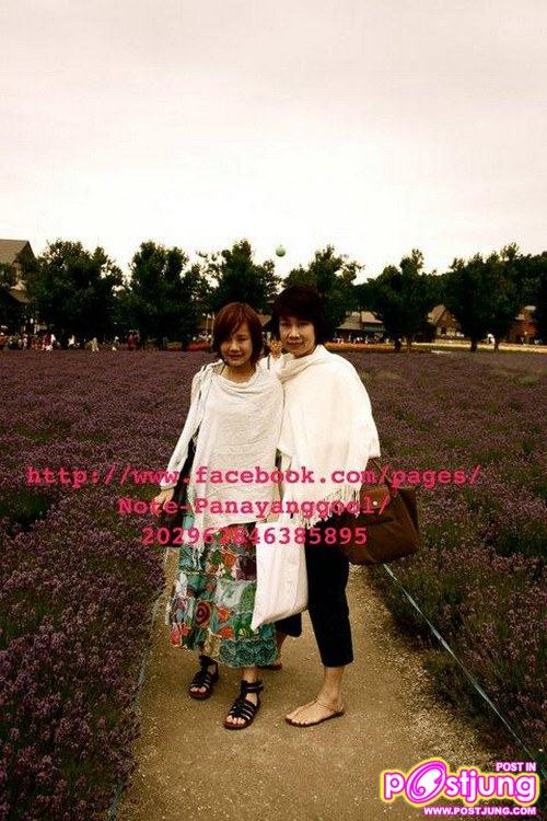 นท ไม่เสียใจ ชวดแชมป์The Star7