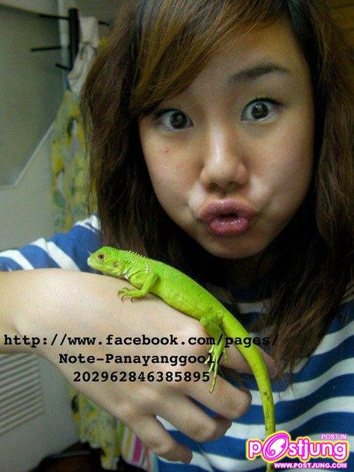 นท ไม่เสียใจ ชวดแชมป์The Star7