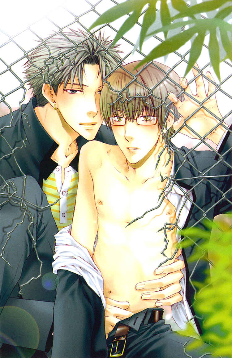 ปกการ์ตูน yaoi