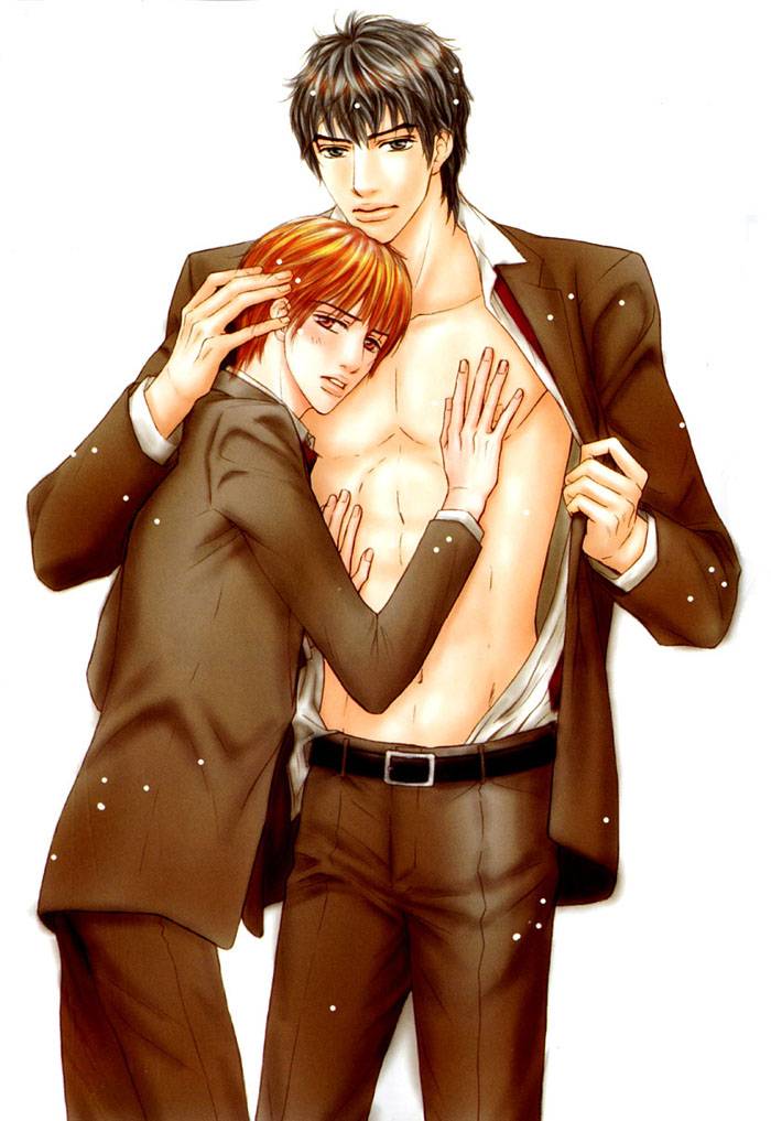 ปกการ์ตูน yaoi