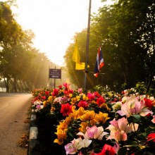 ใต้ร่ม  นนทรี  ...ที่กำแพงแสน