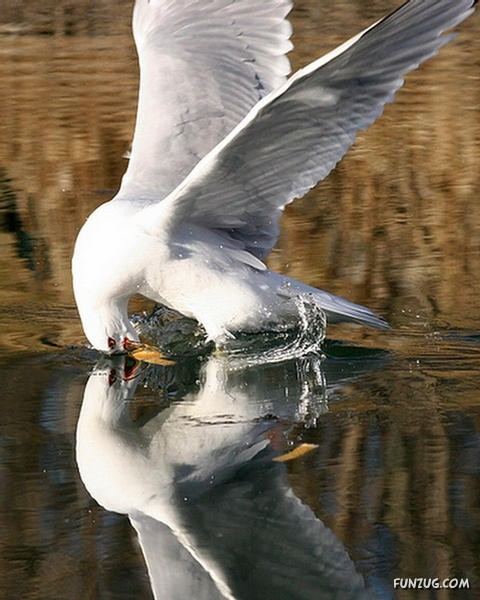 My Image 8