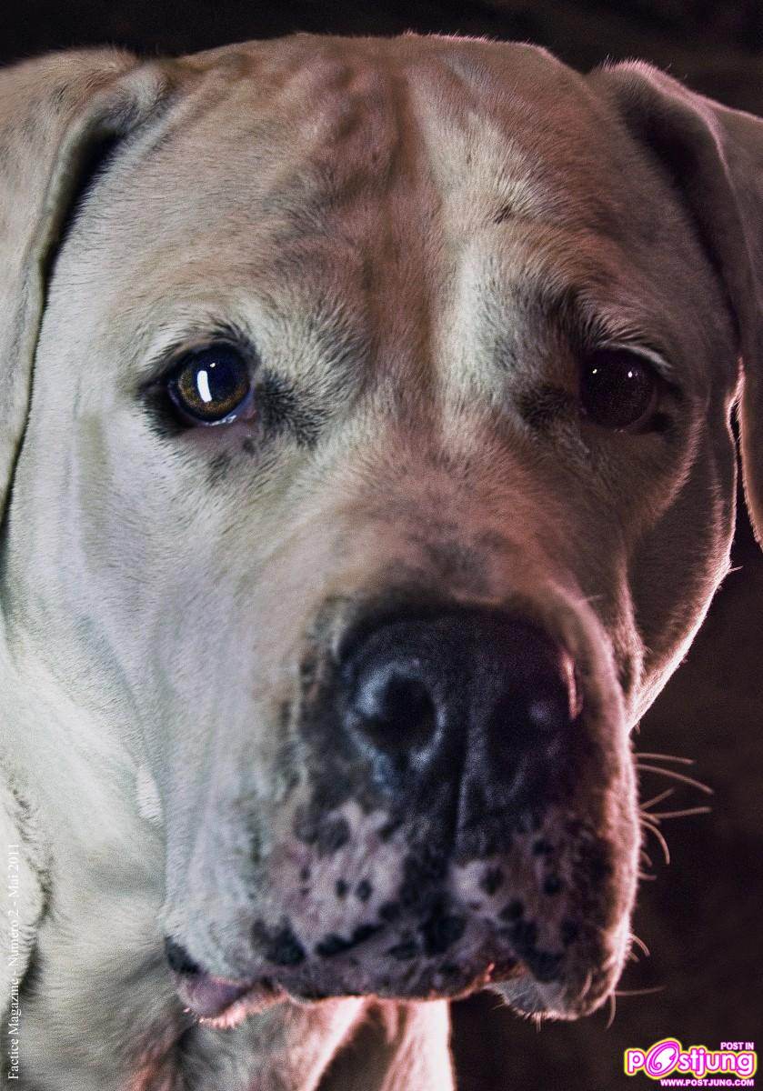 Photoshoot men album 226