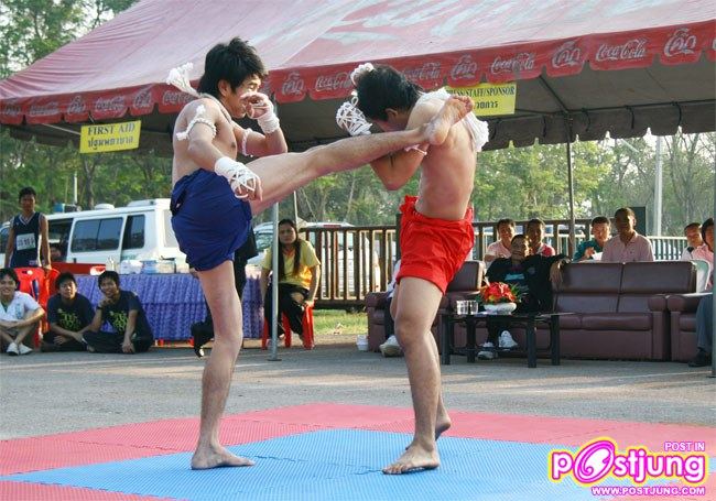 มาดูท่าแม่ไม้มวยไทยมสวยๆ ของหนุ่มทั้ง 2 คนนี้คับ