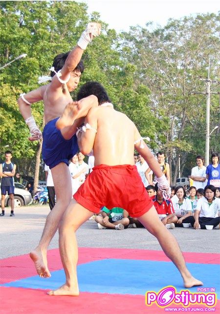 มาดูท่าแม่ไม้มวยไทยมสวยๆ ของหนุ่มทั้ง 2 คนนี้คับ