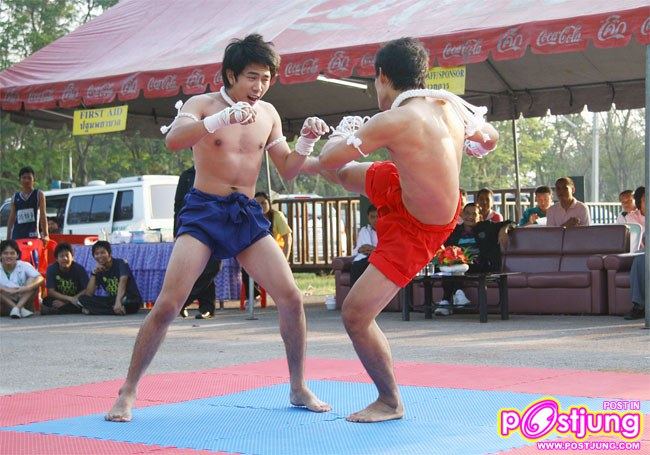 มาดูท่าแม่ไม้มวยไทยมสวยๆ ของหนุ่มทั้ง 2 คนนี้คับ