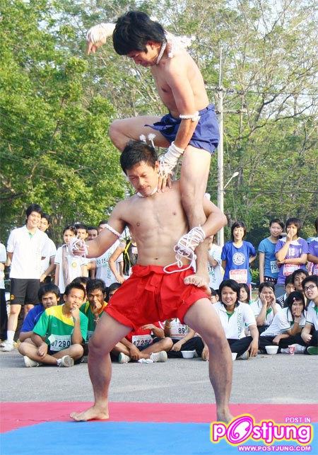 มาดูท่าแม่ไม้มวยไทยมสวยๆ ของหนุ่มทั้ง 2 คนนี้คับ