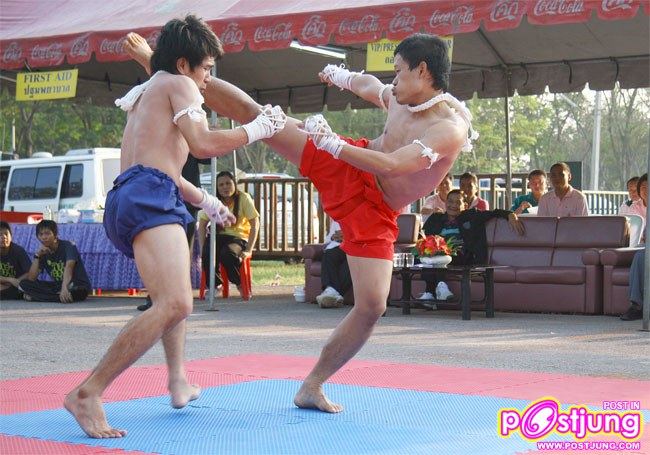 มาดูท่าแม่ไม้มวยไทยมสวยๆ ของหนุ่มทั้ง 2 คนนี้คับ