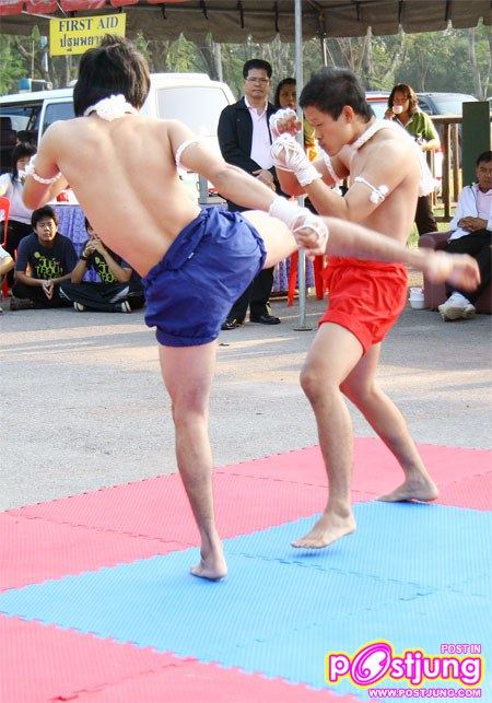 มาดูท่าแม่ไม้มวยไทยมสวยๆ ของหนุ่มทั้ง 2 คนนี้คับ