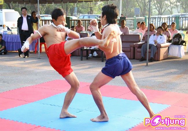 มาดูท่าแม่ไม้มวยไทยมสวยๆ ของหนุ่มทั้ง 2 คนนี้คับ