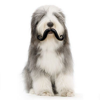 รวมไอเดียสุดเก๋ ซักชิ้นมั้ยเจ้าคะ