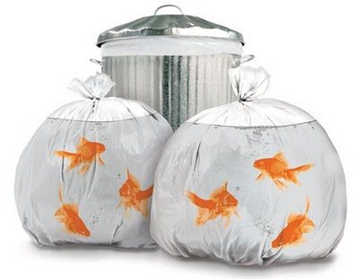 ไอเดีย ถุงขยะปลาทอง Novelty Goldfish Trash Bags