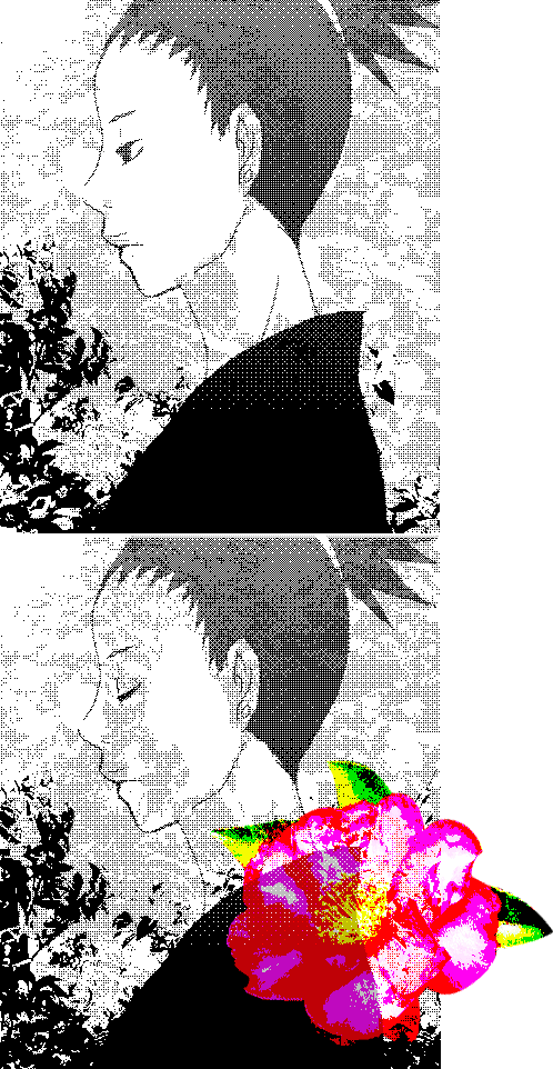 ชิกะมารุ (นารูโตะ)