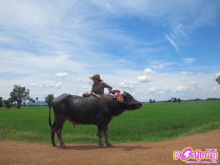 ปุ๊กลุ๊ก