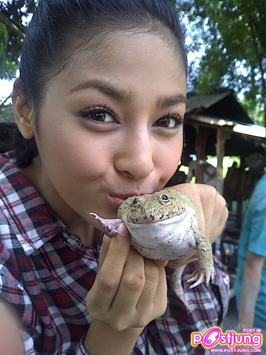 ปุ๊กลุ๊ก