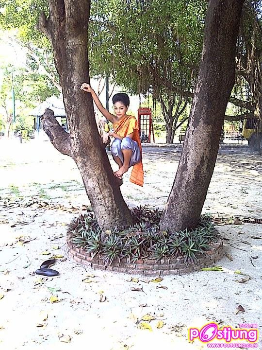 ปุ๊กลุ๊ก