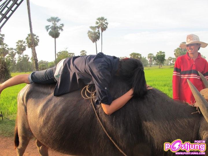 ปุ๊กลุ๊ก