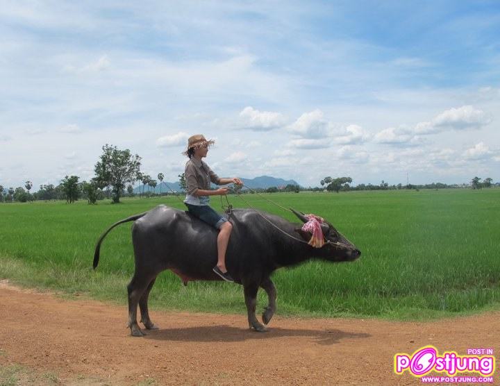 ปุ๊กลุ๊ก