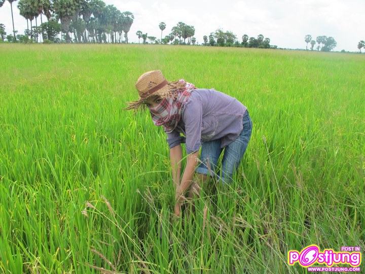 ปุ๊กลุ๊ก