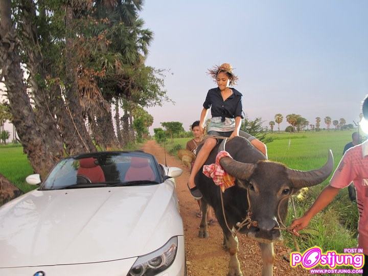 ปุ๊กลุ๊ก