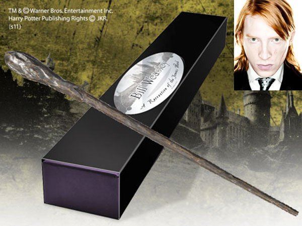ไม้กายสิทธิ์ของตัวละครในแฮร์รี่ พอตเตอร์