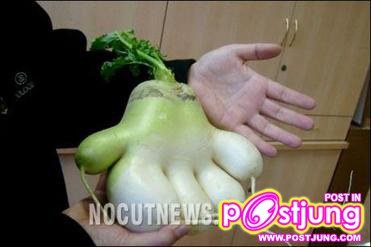 เเปลกๆ 18 +