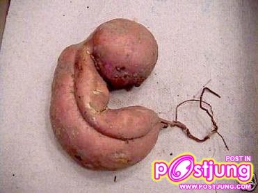 เเปลกๆ 18 +