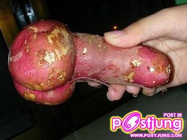 เเปลกๆ 18 +