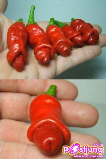 เเปลกๆ 18 +