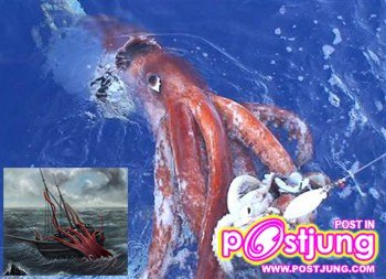 1.หมึกยักษ์ (Giant Squid)  คงเคยได้ยินตำนานปลาหมึกปีศาจแห่งน่านน้ำแถบมหาสมุทรแปซิฟิกกันมาบ้าง และเจ้าหมึกยักษ์นี้เป็นตำนานที่มีชีวิตจริงเสียด้วย ซึ่งอาจมีขนาดตัวโตได้มากกว่า 18 เมตร หนักได้มากกว่า 900 กิโลกรัม เมื่ออยู่ในทะเล หนวดยาว ๆ ที่มีปุ่มดูดของมันสามารถขึ้นมาพันม้วนจมเรือได้ทั้งลำอย่างง่ายดาย