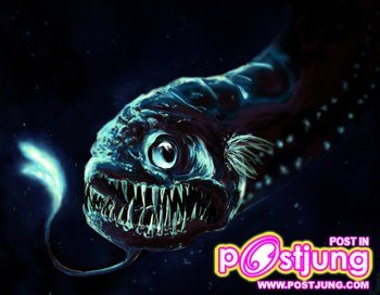 อันดับ 8 ปลาดราก้อน (Dragonfish)  ปลาทะเลน้ำลึกชนิดนี้ นับเป็นนักล่าที่ค่อนข้างพิลึก ด้วยลักษณะลำตัวผอม ๆ หัวโต และฟันใหญ่แหลมคม แต่ทั้งตัวก็มีความยาวเพียง 15 เซนติเมตร มันหลอกล่อเหยื่อด้วยแสงไฟจากส่วนที่ยื่นออกมาใต้คาง