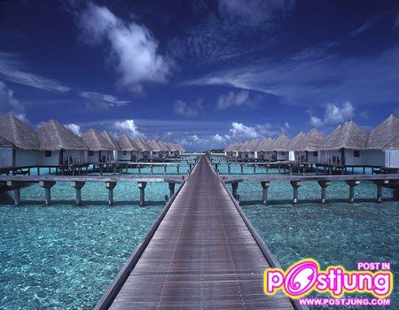 เกาะมัลดีฟส์ (Maldives)