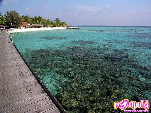 เกาะมัลดีฟส์ (Maldives)