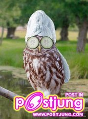 น่าจะดี