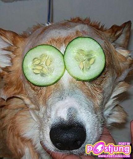 น่าจะดี