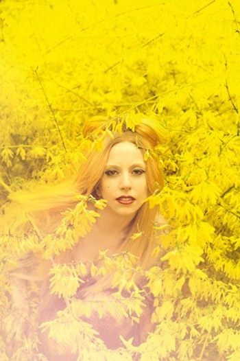 Lady Gaga @Rolling Stone US no.1132 June 2011