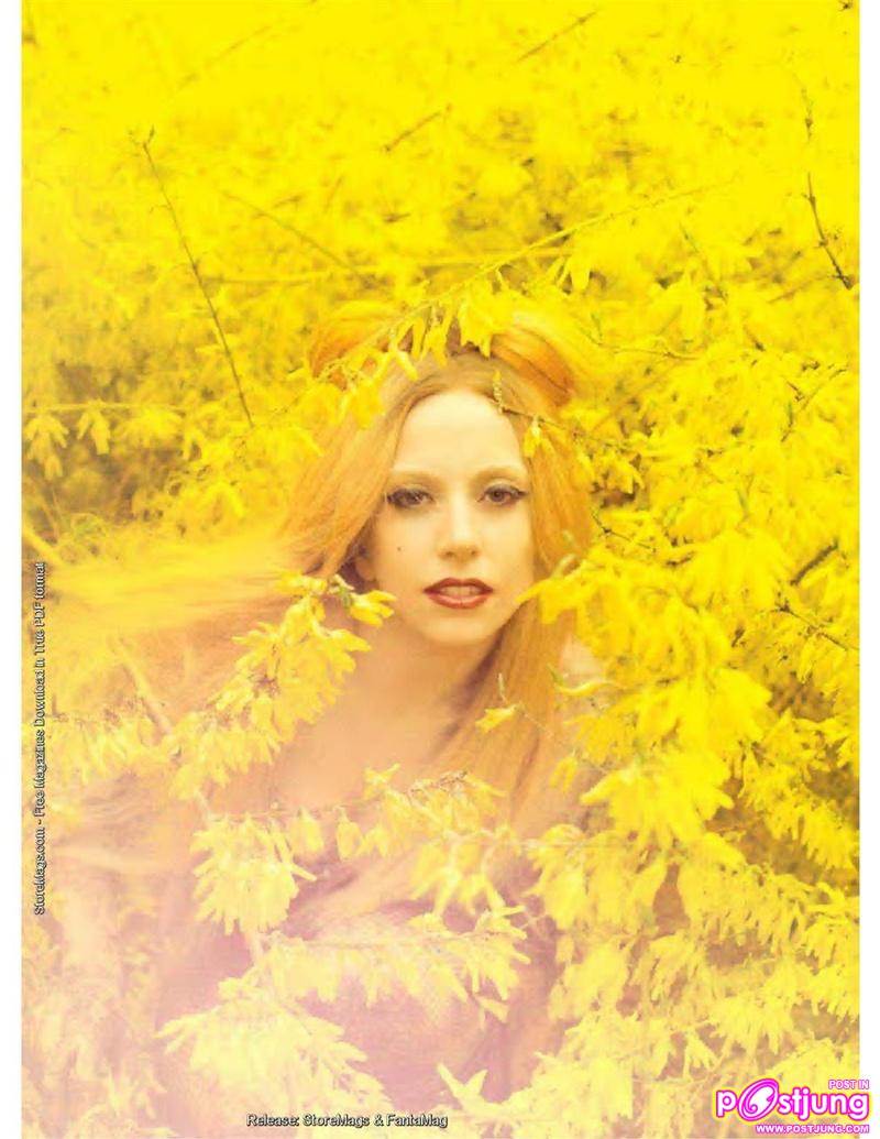 Lady Gaga @Rolling Stone US no.1132 June 2011