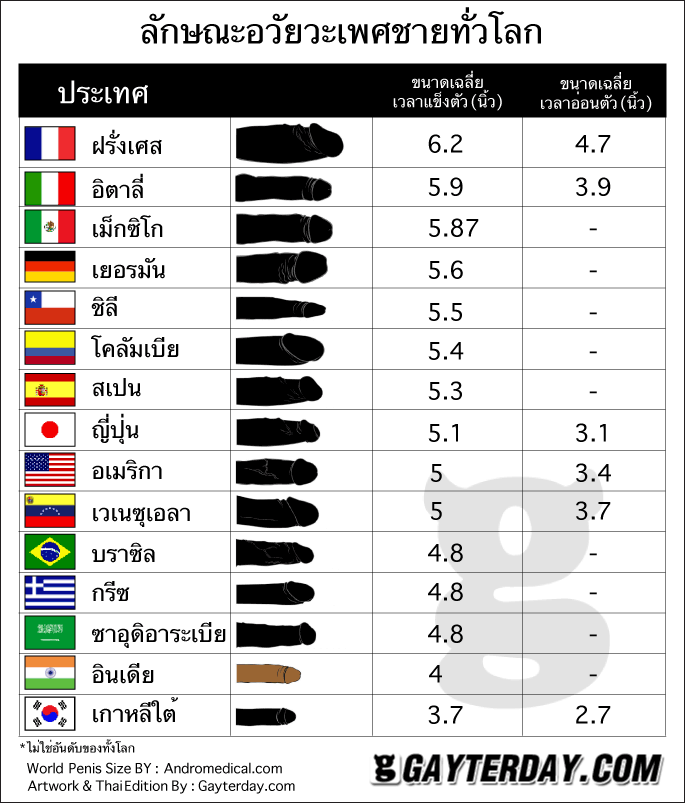 - ขนาดเฉลี่ยอวัยวะเพศชายทั่วโลก -