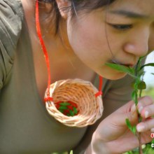 Tea Willow Basket อุปกรณ์เก็บชา ที่ต้องใช้สาวบริสุทธิ และ นมคัพ C+