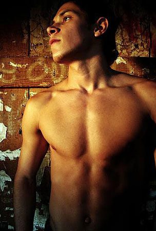 หนุ่่มหมาป่า alex meraz