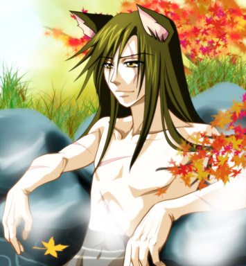 การ์์์์์์์์์์์์์์์์์ตููนสี