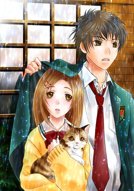 การ์์์์์์์์์์์์์์์์์ตููนสี