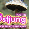 8 ดอกเห็ดใต้น้ำ (Psathyrella aquatica เห็ดประหลาดในรัฐโอเรกอน สหรัฐอเมริกา ถือเป็นเห็ดชนิดแรกที่มีรายงานว่าสามารถออกดอกเห็ดในน้ำได้
