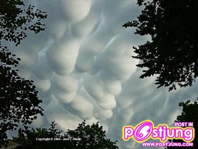 8 Mammatus Clouds เมฆ ลักษณะแบบเป็นกระเปาะยื่นลงมา คนทั่วไปมักจะนึกว่าเดี๋ยวจะมีพายุเข้ามารึเปล่าหว่า จริงๆแล้ว เมฆนีไม่ใช่สัญญาณเตือนอันตรายแต่อย่างใด แต่มักเกิดขึ้นหลังจากที่พายุทอร์นาโดพ้นผ่านไปแล้วต่างหากล่ะ