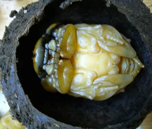 Zoom agian and agian