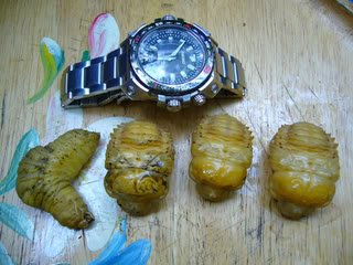 โชว์กรุ๊ป