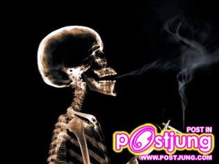 ดูเป็นความรู้ ทางทีดูไม่ควรสูบครับ